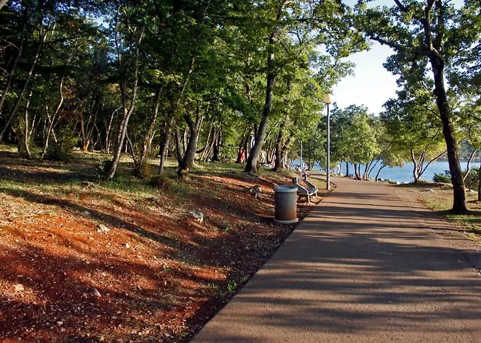 Matic * Нивице