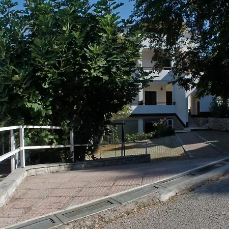 Matic * Njivice